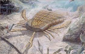 ordovician period