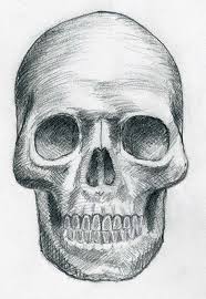 how to draw a skull