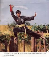 vo dao viet nam