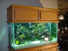 aquarium hoods