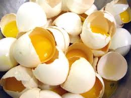 Egg shells