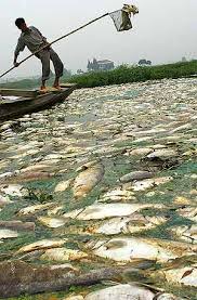 contaminantes del agua