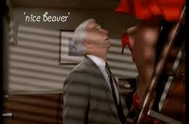 nice-beaver.gif&t=1