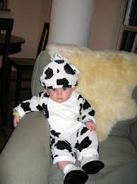 cow costume