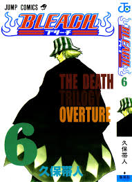 bleach volume 6