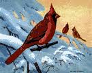 cardinal grosbeak