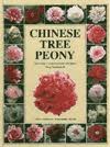chinese peony tree