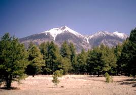 arizona information