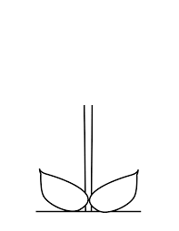 flower craft