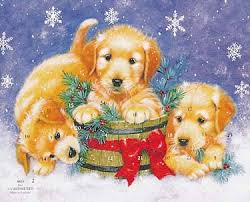 christmas advent calendar
