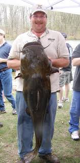 flathead catfish pictures