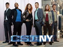 csi new york season 1