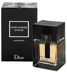 christian dior homme