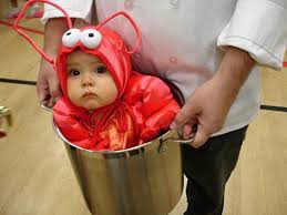 cute bug pictures