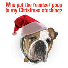 funny christmas card