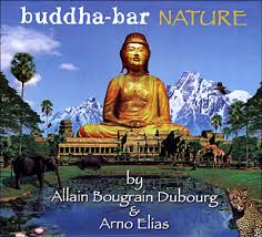 buddha bar vol xi