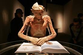 human body parts