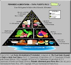 la piramide alimentaria