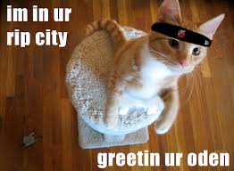 of The Rip City Project,