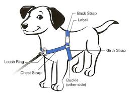 dog choker