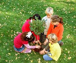 volunteer work