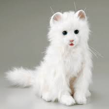 robot cat
