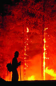 forest fire fighter