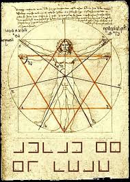 vitruvian man picture