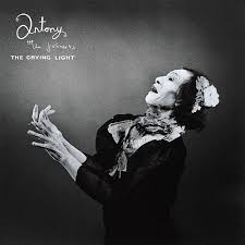 anthony and the johnsons the crying light