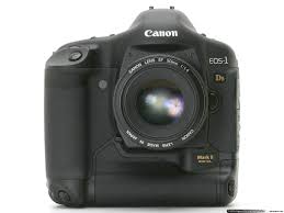 eos1ds mark 2