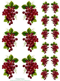 fruit decals