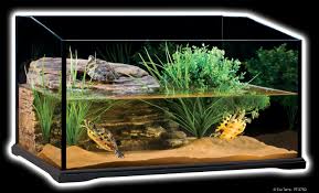 terrariums for turtles