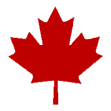 maple leaf