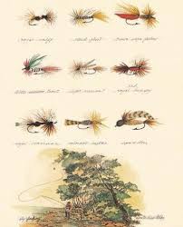 fly fishing poster