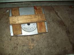 door weights