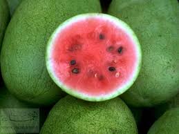 صور بطيخ Water-melon