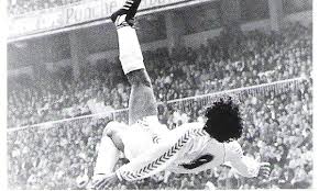hugo sanchez real madrid
