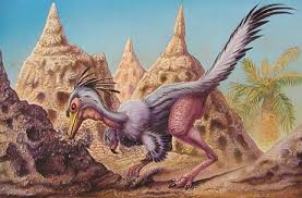 dinosaurs national geographic