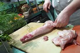 rabbit stew