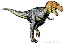 tyrannosaurus rex image