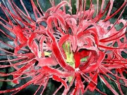 large flower paintings