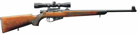 hunting gun