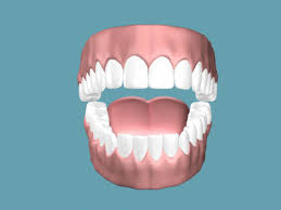 dientes Como te examina un dentista