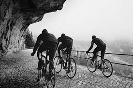 cycling prints