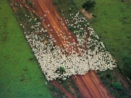 mato grosso
