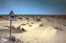 maroc sahara