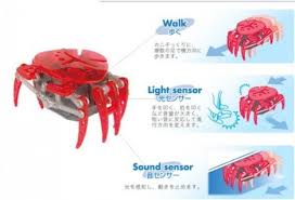 bug robots