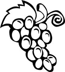 grapevine clipart
