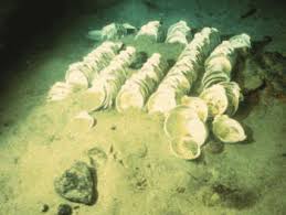 discovery of the titanic