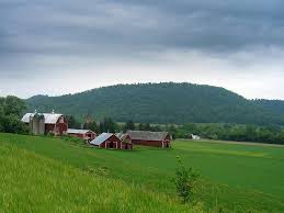 dairy farm